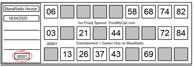 Bingo Ticket Sample